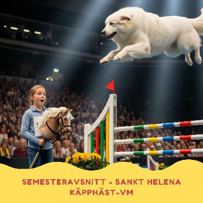 Käpphäst-VM