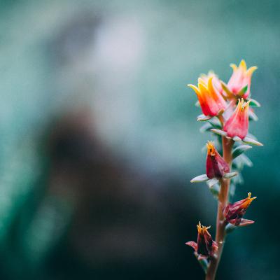 010 - Es tut mir leid