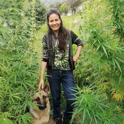 E3 - Comunidad Tribal: volver a la tierra con cannabis y cáñamo en el Valle del Cauca