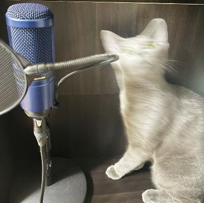 猫は可愛い、そして師でもある【猫トーク後半】 from Radiotalk