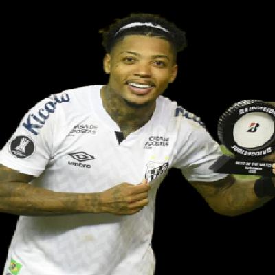 ANALISANDO SANTOS NA FINAL DA LIBERTADORES!