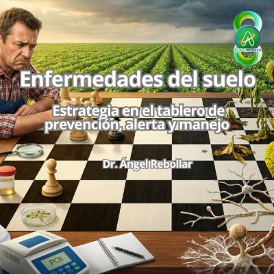 Las enfermedades del suelo: estrategia en el tablero de prevención, alerta y manejo
