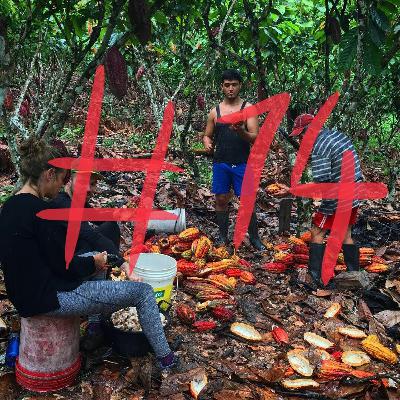HQT 14 - A la découverte du Cacao en pleine jungle péruvienne