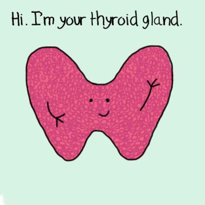 Thyroid DESTROYED: What is that all about?