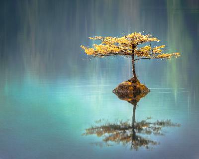 Undivided Reflections