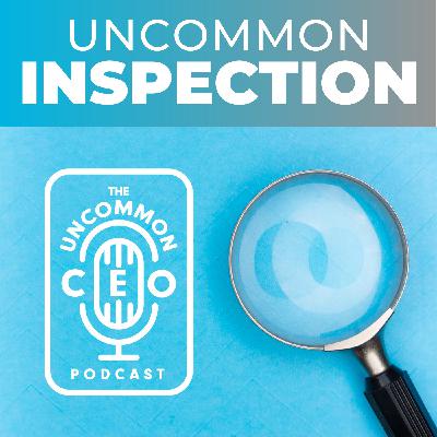 Uncommon Inspection: The Role of Accountability