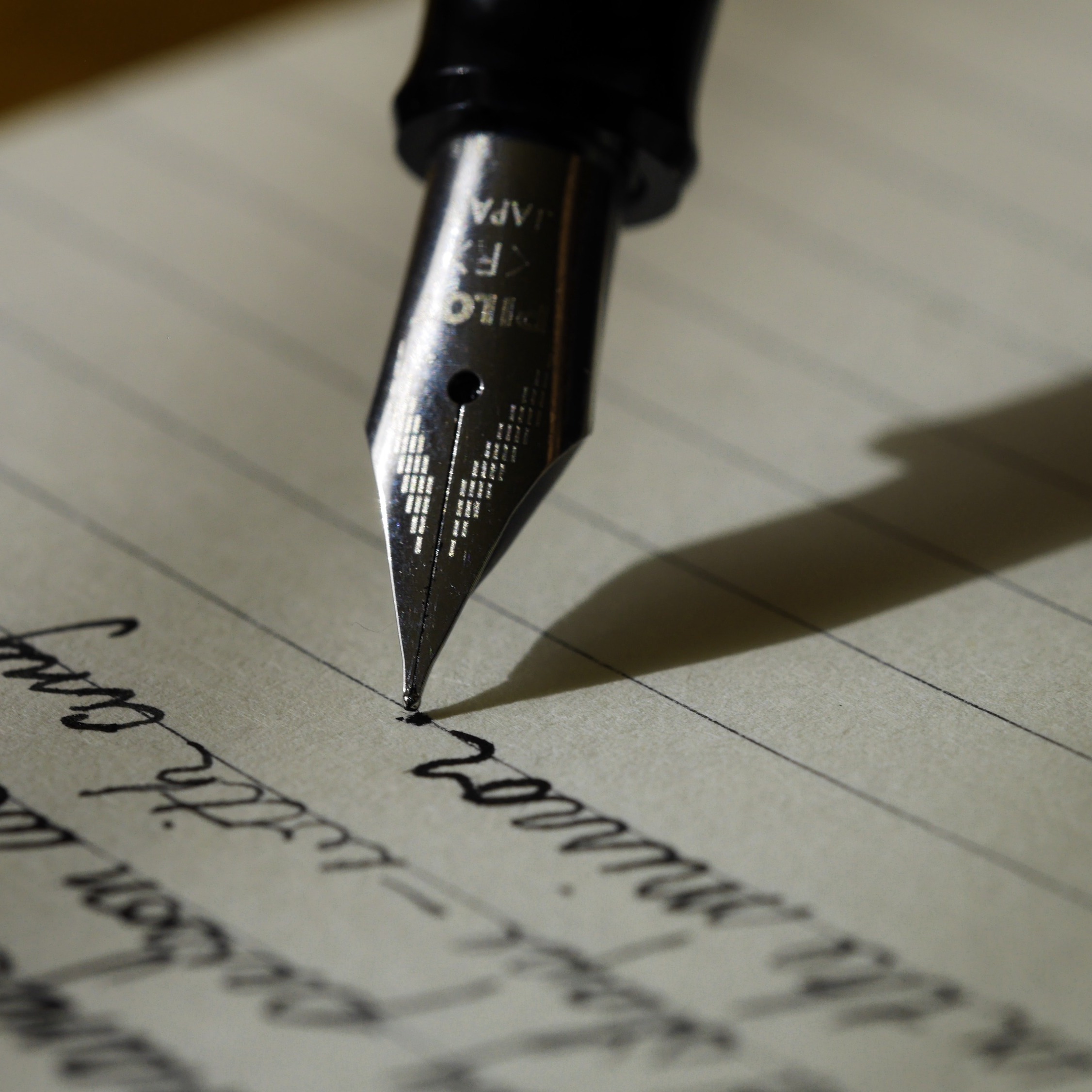 My Assignment Services