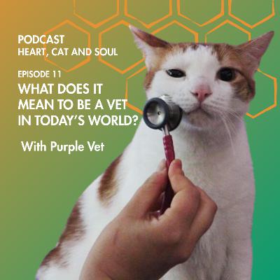 EPISODE 11: Navigating Different Paths as a Vet – with Purple Vet