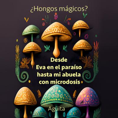 Cap 15 Se busca un dios que ría