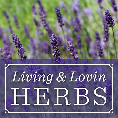 25 Herbs for Renewal & Vitality