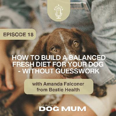 How to Build a Balanced Fresh Diet for Your Dog - Without Guesswork with Amanda Falconer from Bestie Health