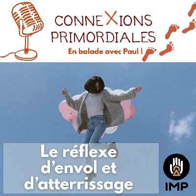 Le réflexe d’envol et d’atterrissage – Les rituels