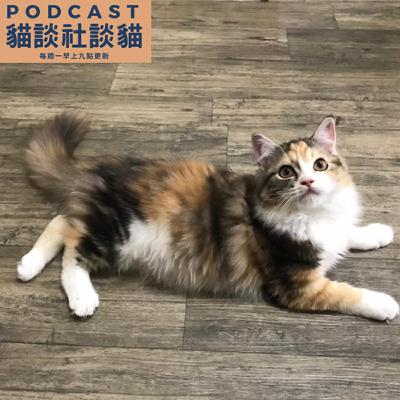 EP205 看醫生，說走就走？