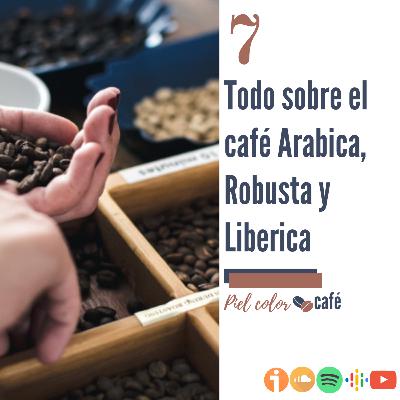 EP7. Todo sobre el café Arabica, Robusta y Liberica