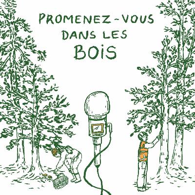 Episode 6 - Les forêts de l'Est : la qualité mise à l'épreuve