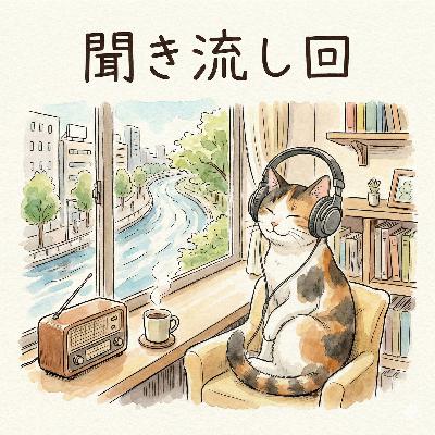 213 聞き流し回（26年1月上旬）
