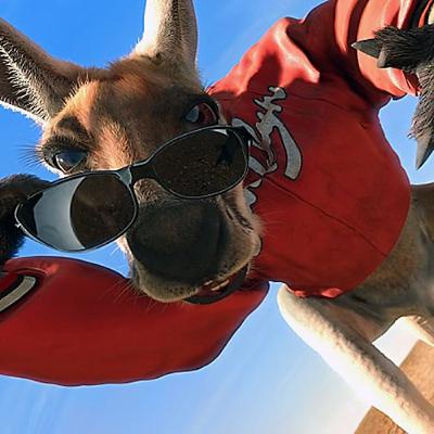 Episode #176 - Kangaroo Jack