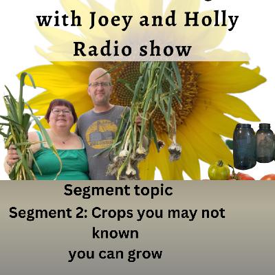 Episode 1559: Seg 2 of S10E12 Yes you can grow these crops - The Gardening With Joey and Holly Radio Show Episode 1559: Seg 2 of S10E12 Yes you can grow these crops - The Gardening With Joey and Holly Radio Show