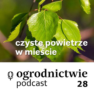 #028 czyste powietrze w mieście - o ogrodnictwie #028 czyste powietrze w mieście - o ogrodnictwie