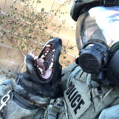 Careers in Law Enforcement - Worth It? Careers in Law Enforcement - Worth It?