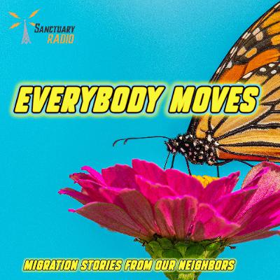 Everybody Moves- Phat