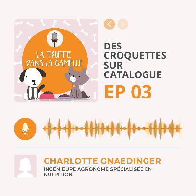 Des croquettes sur catalogue