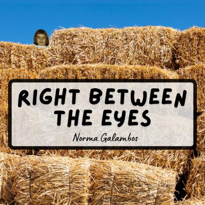 Right Between The Eyes | Norma Galambos