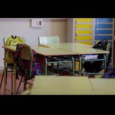 Ander Domblás, director dimisionario del CREENA