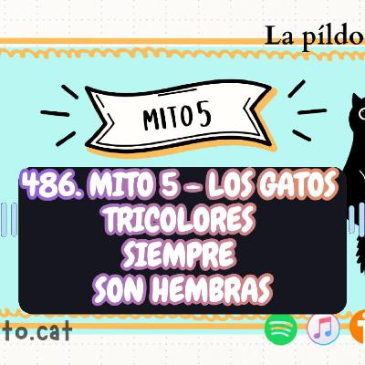 486. Mito 5 - Los gatos tricolores siempre son hembras
