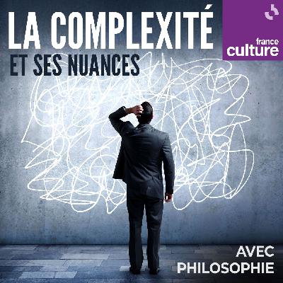 La complexité et ses nuances : Savez-vous ce qu'est la "simplexité" ?