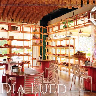 Prensa francesa, Aeropress & V60