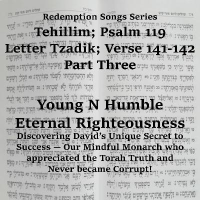 Redemption Songs Series Tehillim; Psalm 119 Letter Tzadik; Verse 141-142 Part Three