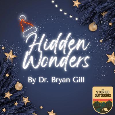 Ep. 137: Hidden Wonders (A Christmas Story) by Dr. Bryan Gill