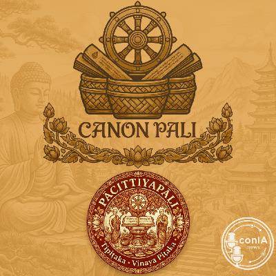 Canon Pali 02/40 | Vinaya Piṭaka | Pācittiyapāḷi Canon Pali 02/40 | Vinaya Piṭaka | Pācittiyapāḷi