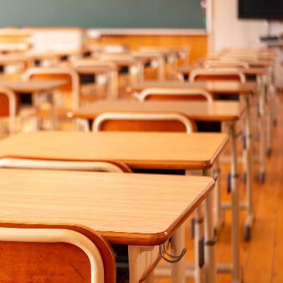 Seguiment de la vaga d'Educació - Parlen les direccions dels centres vilanovins Seguiment de la vaga d'Educació - Parlen les direccions dels centres vilanovins
