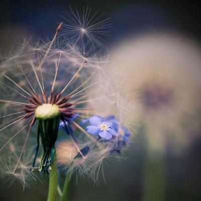 Respiración para calmar , desbloquear y dejar ir
