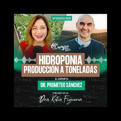 #008. Hidroponia, producción a toneladas