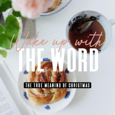 Ep. 1.14 | The True Meaning of Christmas