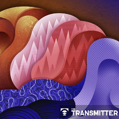 Perimenopause: An important-and understudied-transition for the brain Perimenopause: An important-and understudied-transition for the brain