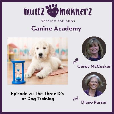 The Three D’s of Dog Training