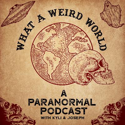 14. Paul Rudd the studd; Cursed Video Games