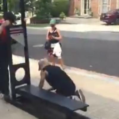 Weekly Warp: Shut It Down Weekly Warp: Shut It Down