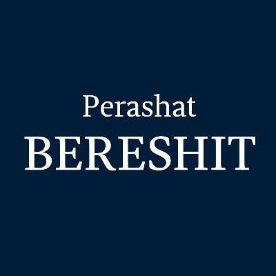 Bereshit: Raymond Ashkenazie on Tzelem Elokim Bereshit: Raymond Ashkenazie on Tzelem Elokim