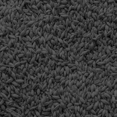 Bed Time Story: The Technical Categorization of Canadian Grain Bed Time Story: The Technical Categorization of Canadian Grain