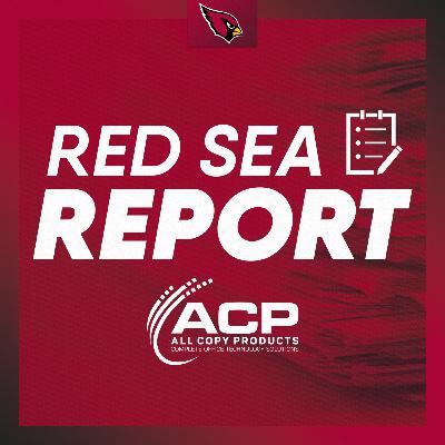 Red Sea Report - Bounce Back Mode: Cardinals vs. Seahawks