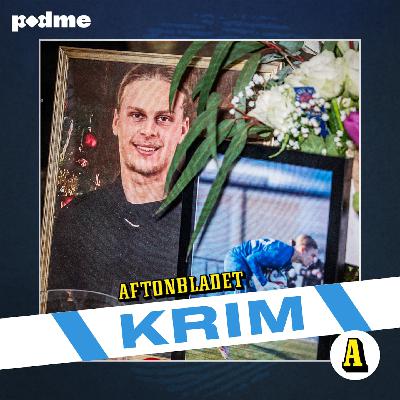 Mordet på Hugo & 12-åringens dåd mot ostföretaget