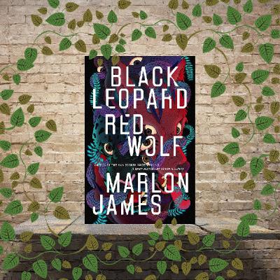 Episode 5 - Book Review of Black Leopard and Red Wolf