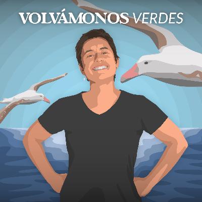 Carolina Yáñez | A pajarear se ha dicho | 117
