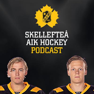 Avsnitt 14: Andreas Wingerli & Linus Lindström