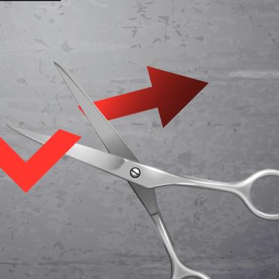 Recorte administrativo, ¿qué pasaría si se recortan 18 órganos del gobierno? Recorte administrativo, ¿qué pasaría si se recortan 18 órganos del gobierno?